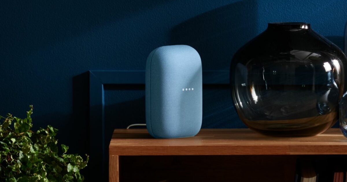 Google Nest Speaker